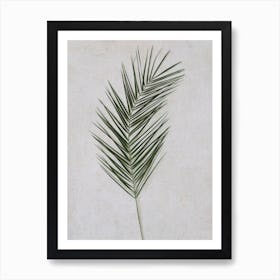 Palm Leaf Art Print