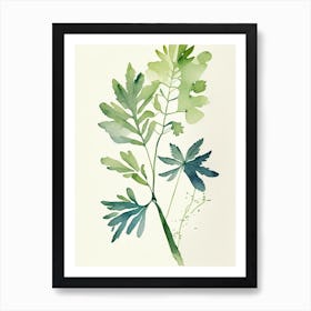 Lovage Herb Minimalist Watercolour Art Print