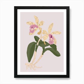 Botanical illustration - Orchids in pink background - Into the garden Art Print