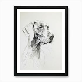 Weimaraner Dog Charcoal Line 4 Art Print