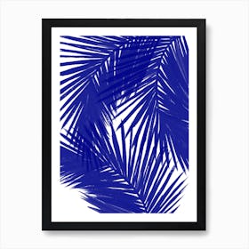 Royal Palms Art Print