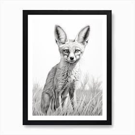 Bengal Fox In A Field Pencil Drawing 2 Art Print