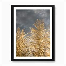 Golden pampas grass and grey clouds Art Print