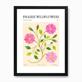 Prairie Wildflowers The Prairie Rose Art Print