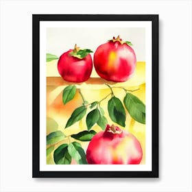 Pomegranate Italian Watercolour fruit Art Print