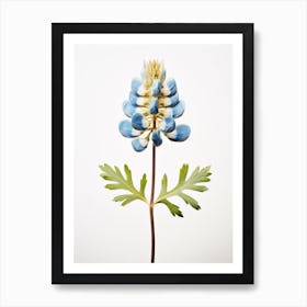 Pressed Wildflower Botanical Art Bluebonnet Art Print