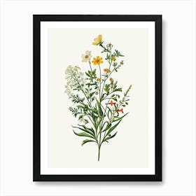 Vintage Botanical Galleria Style Wildflower Painting 4 Art Print