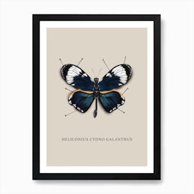 Butterfly No2 Art Print