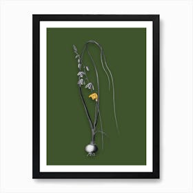 Vintage Albuca Black and White Gold Leaf Floral Art on Olive Green Art Print