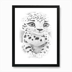 Snow Leopard Drawing Art Print