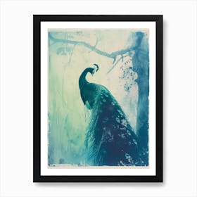 Turquoise Cyanotype Peacock Silhouette Art Print