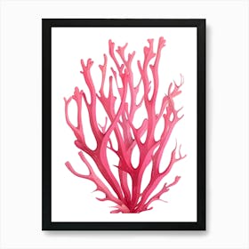 Coral Reef 4 Art Print