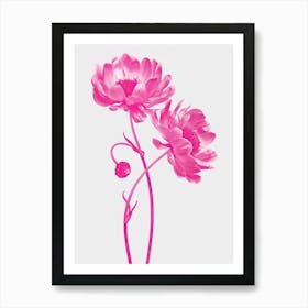 Hot Pink Asters 4 Art Print