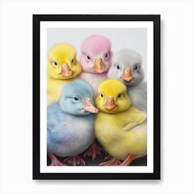 Multicoloured Duck Pencil Illustration Art Print