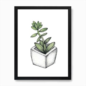 Succulent In A White Pot  Art Print