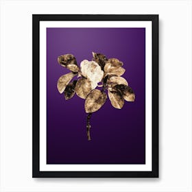Gold Botanical Magnolia Elegans on Royal Purple Art Print