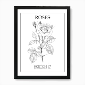 Roses Sketch 47 Poster Art Print