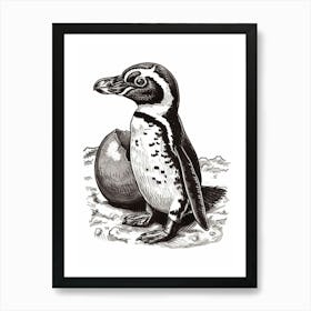 African Penguin Hatching 3 Poster