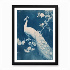 Floral White & Blue Peacock 1 Art Print