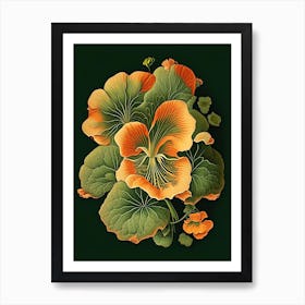 Nasturtium Floral 1 Botanical Vintage Poster Flower Art Print