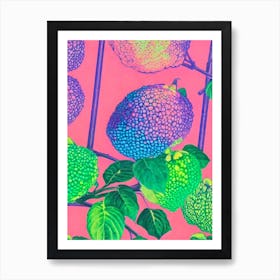 Cherimoya Risograph Retro Poster Fruit Art Print