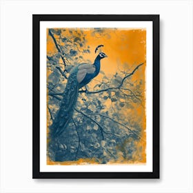 Orange & Blue Peacock In The Trees 1 Art Print