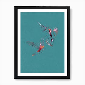 Rainbow Hummingbirds Art Print