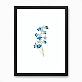 Vintage Shewy Delphinium Flower Botanical Illustration on Pure White n.0001 Art Print