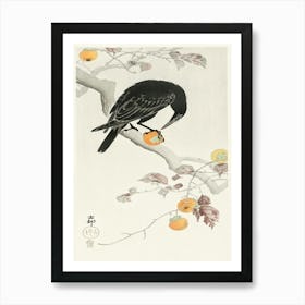 Crow With Kaki Fruit (1900 1910), Ohara Koson Art Print