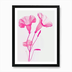 Hot Pink Morning Glory 3 Art Print