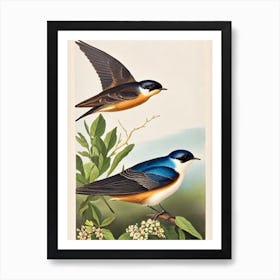 Swallow James Audubon Vintage Style Bird Art Print