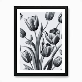 Black And White Tulips 2 Poster