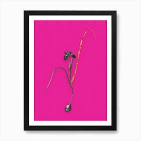 Vintage Barbary Nut Black and White Gold Leaf Floral Art on Hot Pink n.0804 Art Print