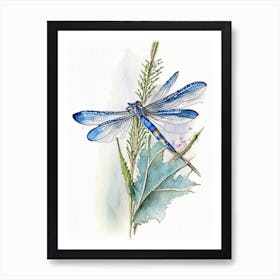 Blue Dasher Dragonfly Watercolour Ink Pencil 1 Art Print