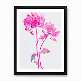 Hot Pink Chrysanthemum 1 Art Print