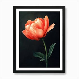 Tulip Art Print