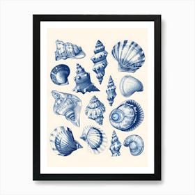 Sea Shells 7 Art Print