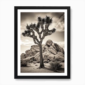 Joshua Tree In Mountain Foothill In South Western Style (1) Art Print