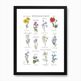 British Wildflowers Art Print