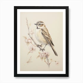 Vintage Bird Drawing Lark 1 Art Print