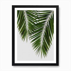 Palm Leaf II Art Print