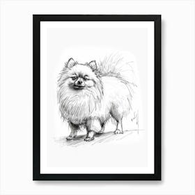 Pomeranian Line Sketch 4 Art Print