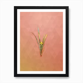 Vintage Yellow Iris Botanical Art on Peach Pink n.0615 Art Print