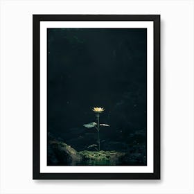 Flower In The Water 11 Art Print