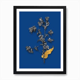 Vintage Commelina Tuberosa Black and White Gold Leaf Floral Art on Midnight Blue n.0416 Art Print