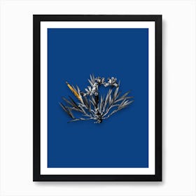 Vintage Dwarf Crested Iris Black and White Gold Leaf Floral Art on Midnight Blue Art Print
