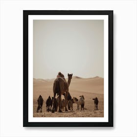 Caravan of Camels leader- Al Wathba Abu Dhabi UAE photo print - moody animal photography art Art Print Art Print