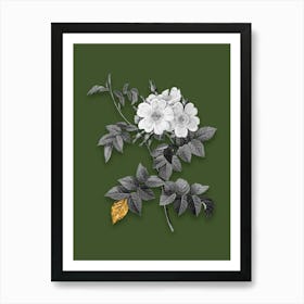 Vintage White Rosebush Black and White Gold Leaf Floral Art on Olive Green n.1011 Art Print