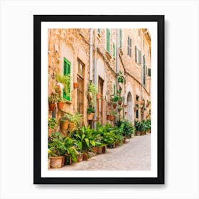 Beautiful street at the mediterranean village of Valldemossa on Majorca Spain. Walk through the fiesta-filled streets and admire the history and culture of this famous landmark. The potted plants and flowers add a touch of Mediterranean elegance to the Spanish architecture. Art Print