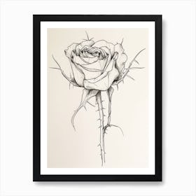 English Rose Black And White Line Drawing 32 Art Print